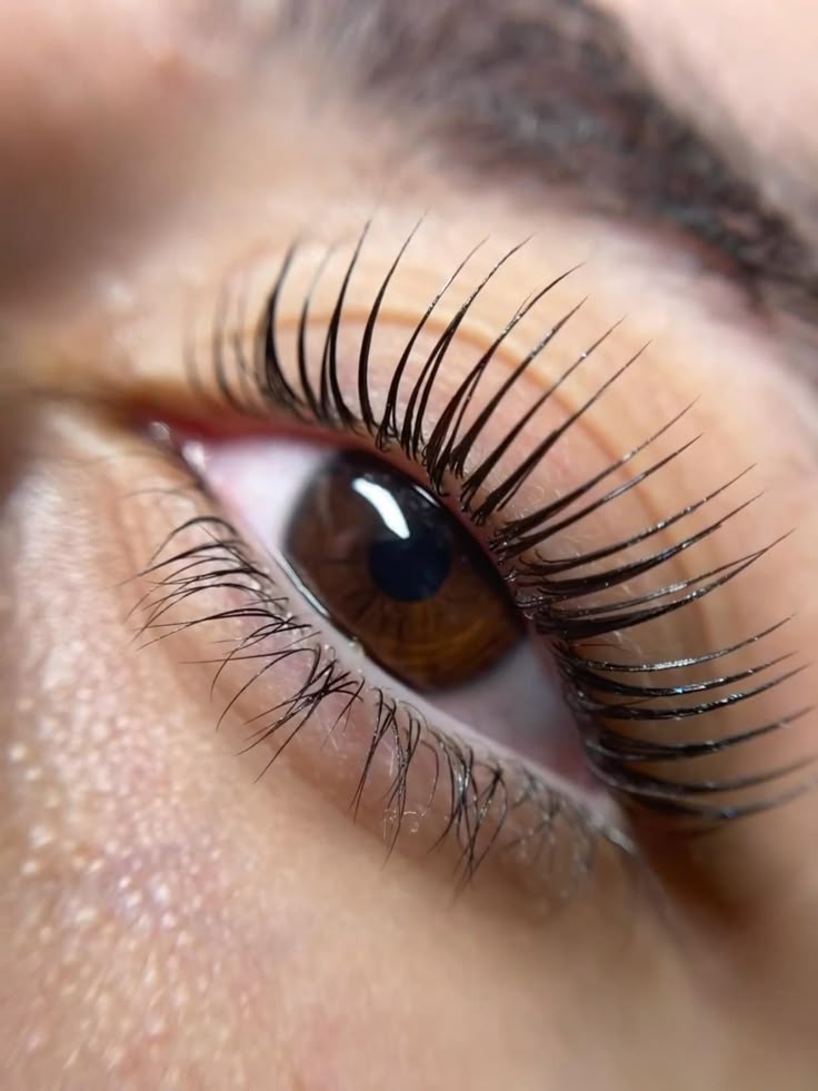 Lash Lift 7