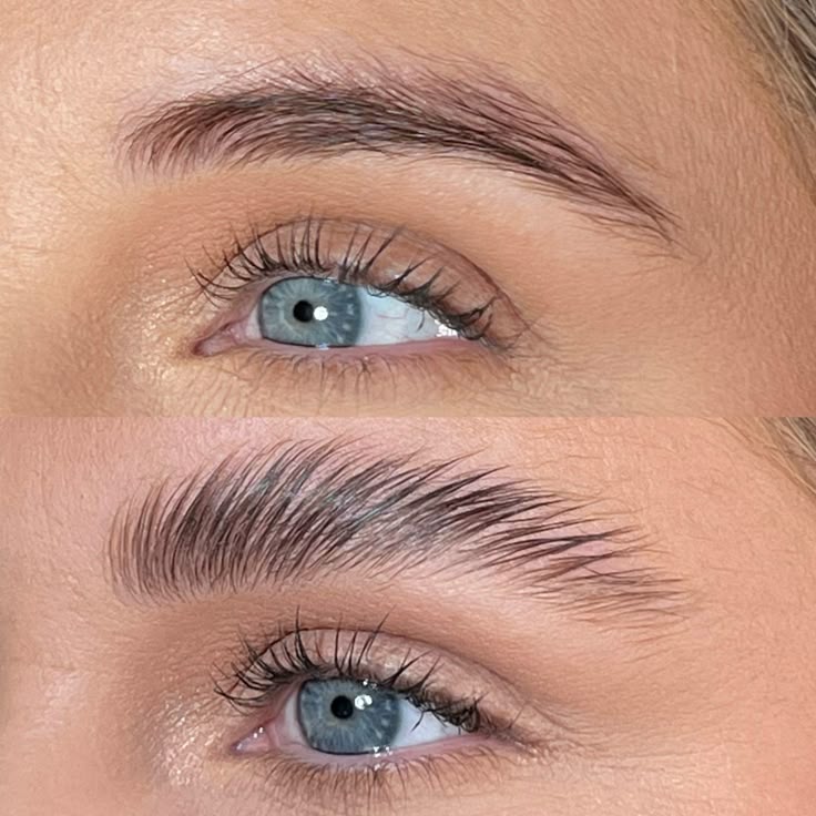Brow 4