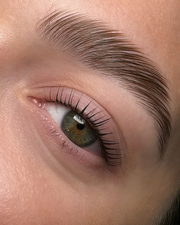 Brow 1