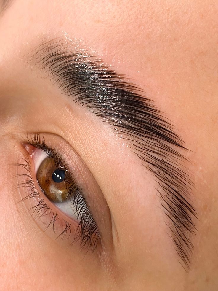 Brow 5