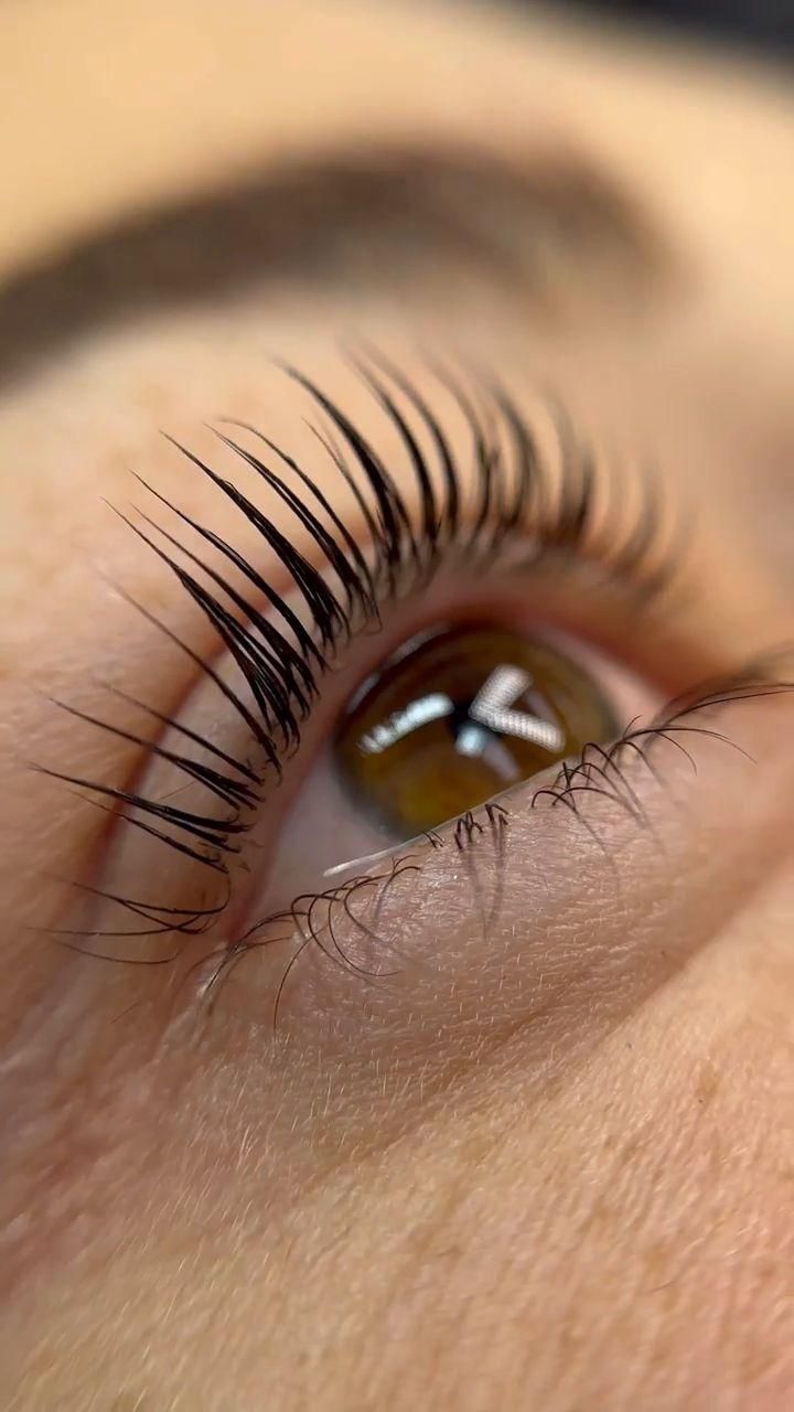 Lash Lift 6
