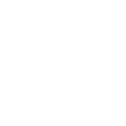 5 uzroka